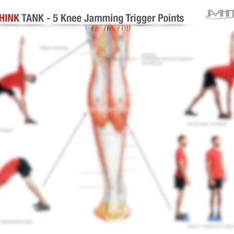 Thank Tank Five Knee Jamming Trigger Points (2024)